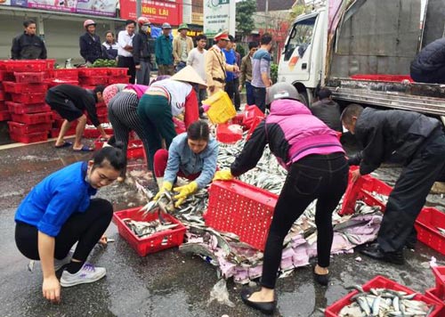 Người dân giúp tài xế thu gom cá trên đường