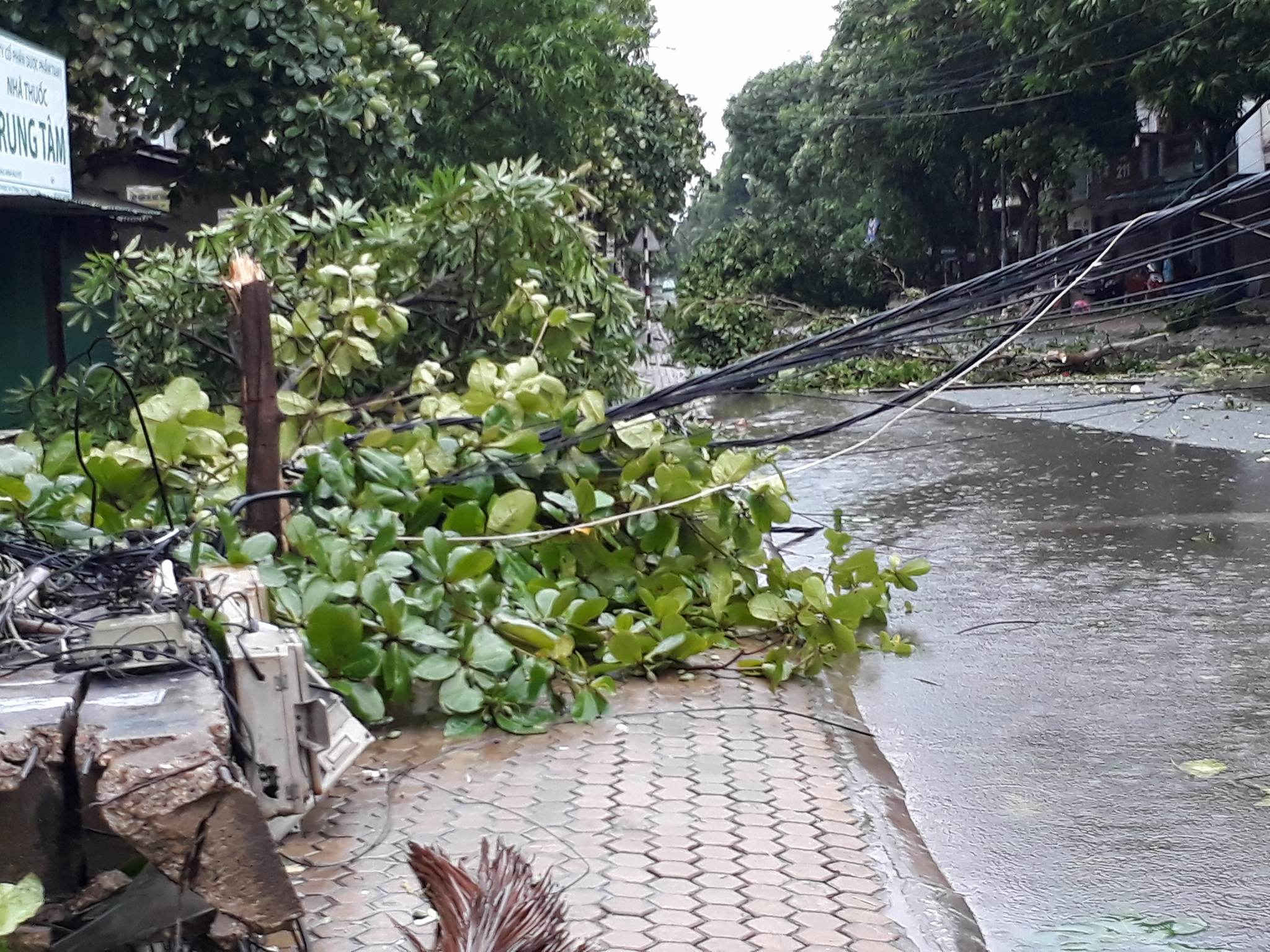 Bão số 2 vào đất liền: Cây đổ, mất điện, nhà tốc mái - Ảnh 3.