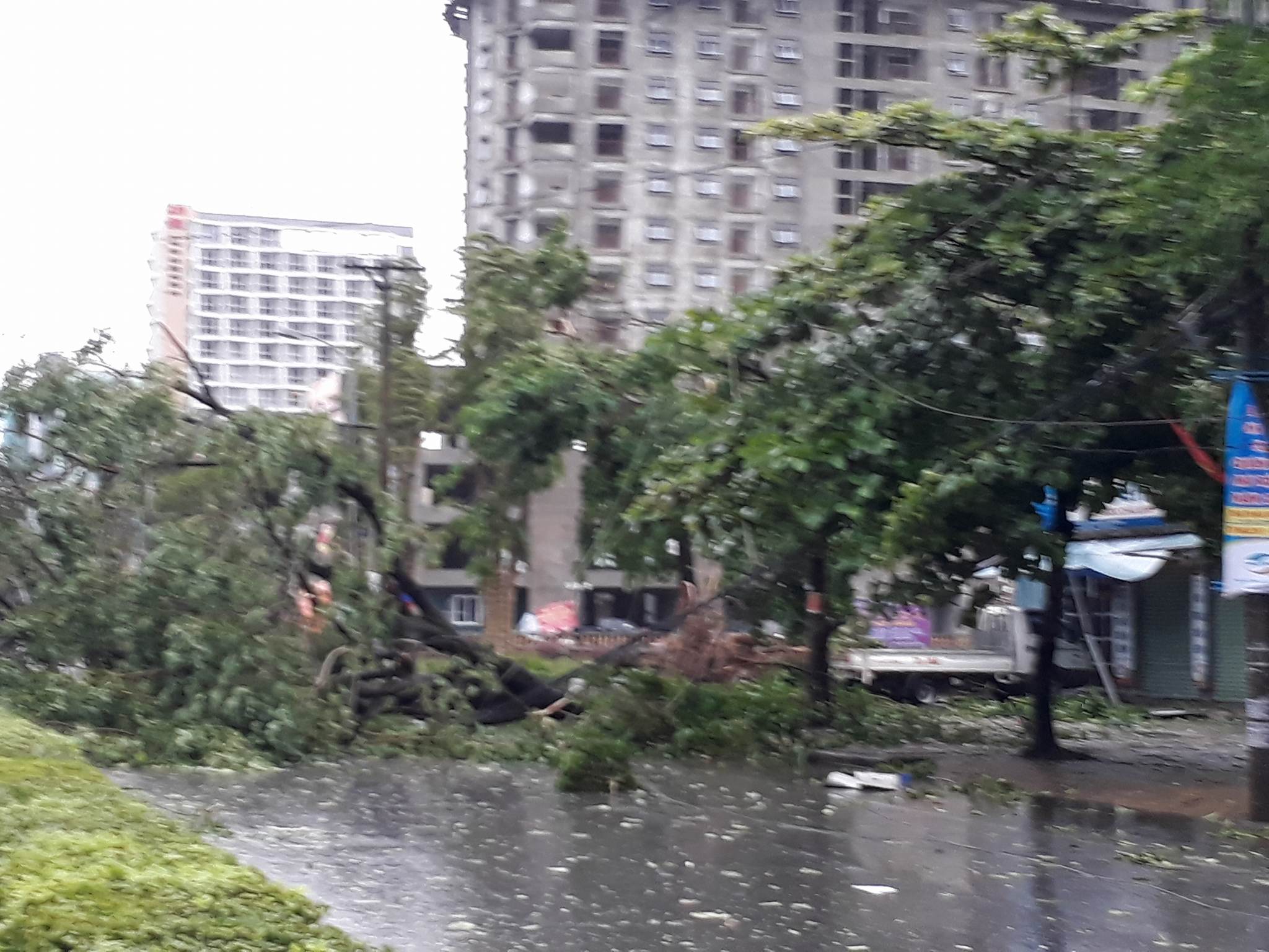 Bão số 2 vào đất liền: Cây đổ, mất điện, nhà tốc mái - Ảnh 10.