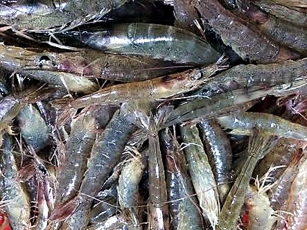 Chỉ có vậy thôi mà sao tôi nhớ... - Ảnh 3.