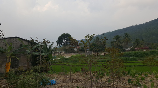 Làm rõ việc cho phá rừng làm “siêu nghĩa trang”