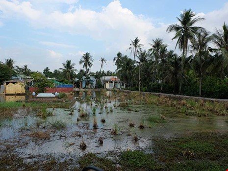 Đất đai hoang hóa trong khu bán đảo Thanh Đa.