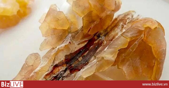 Tuyết giáp, thần dược 100 triệu/kg nấu chè giải nhiệt
