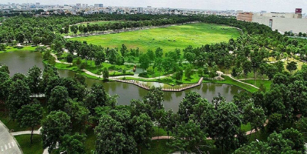 To&agrave;n cảnh cơn sốt đất TP HCM năm 2017 - Ảnh 5.