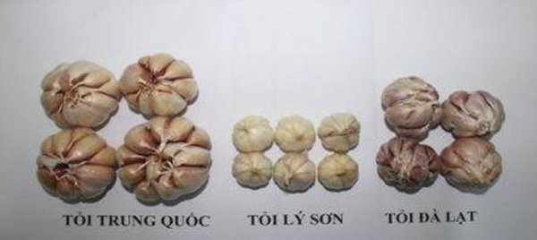 C&aacute;ch ph&acirc;n biệt rau củ quả Trung Quốc v&agrave; Đ&agrave; Lạt - Ảnh 3.
