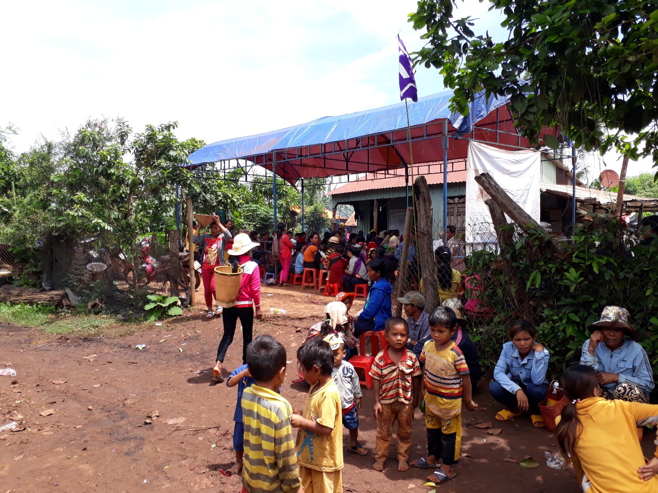 Cây đổ đè, 1 người chết, 4 người bị thương