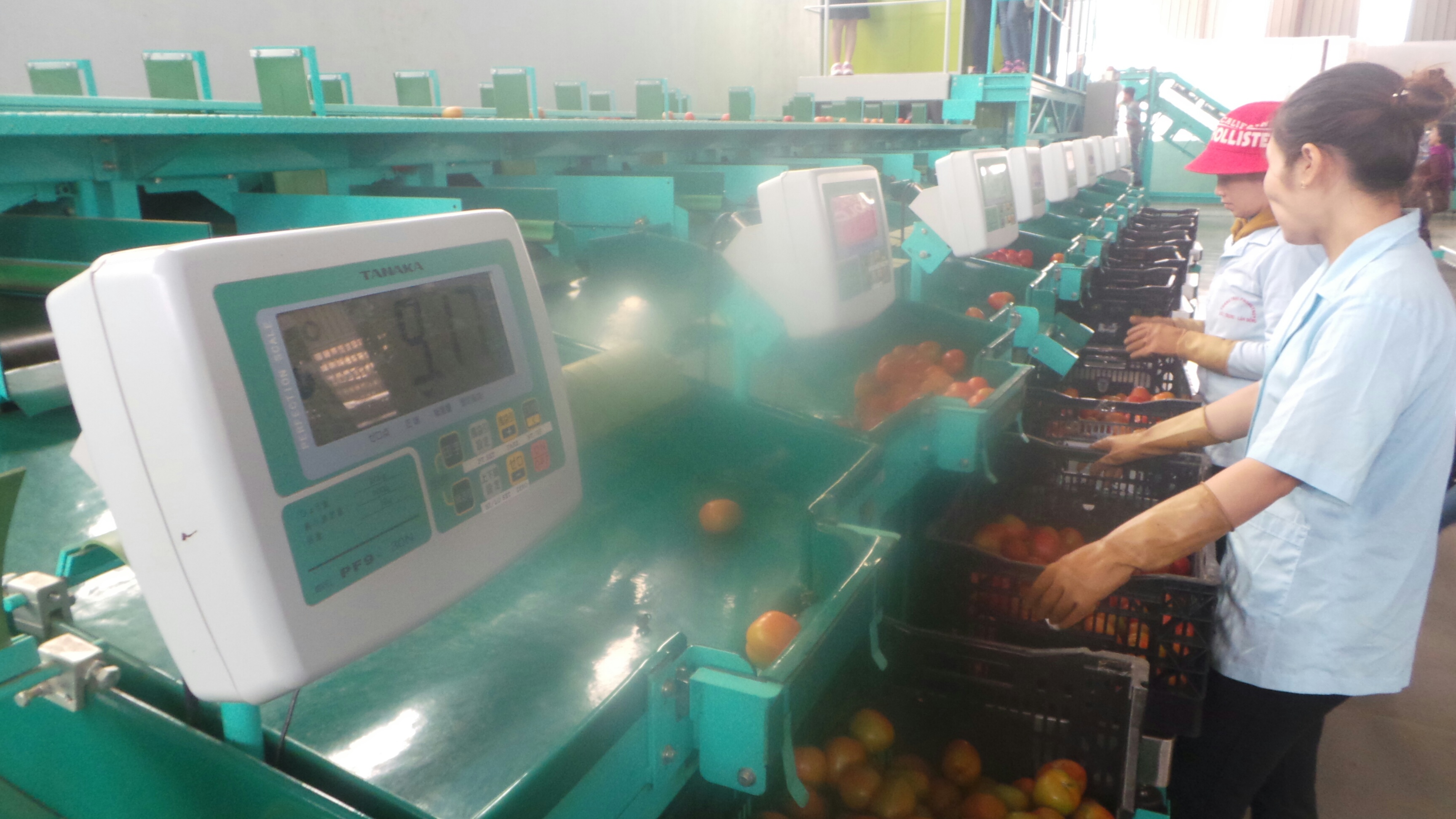 Bị phạt hơn 100 tỉ đồng do vi phạm an toàn thực phẩm