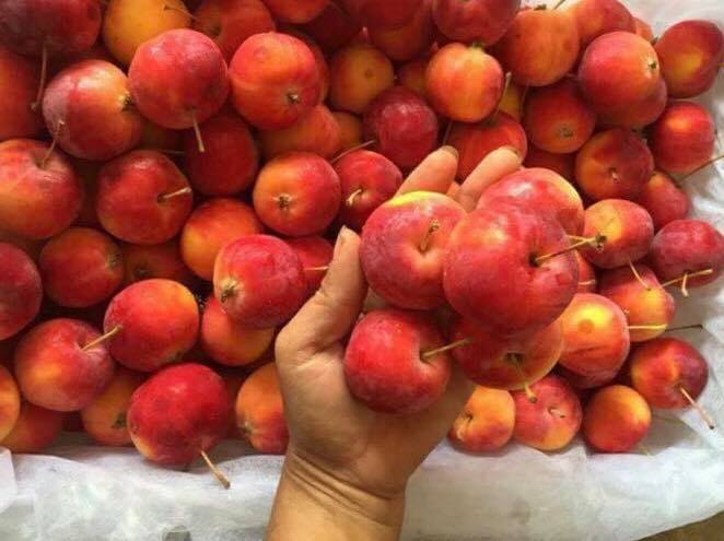 5 loại táo Trung Quốc đang bán đầy chợ Việt, người mua dễ nhầm lẫn