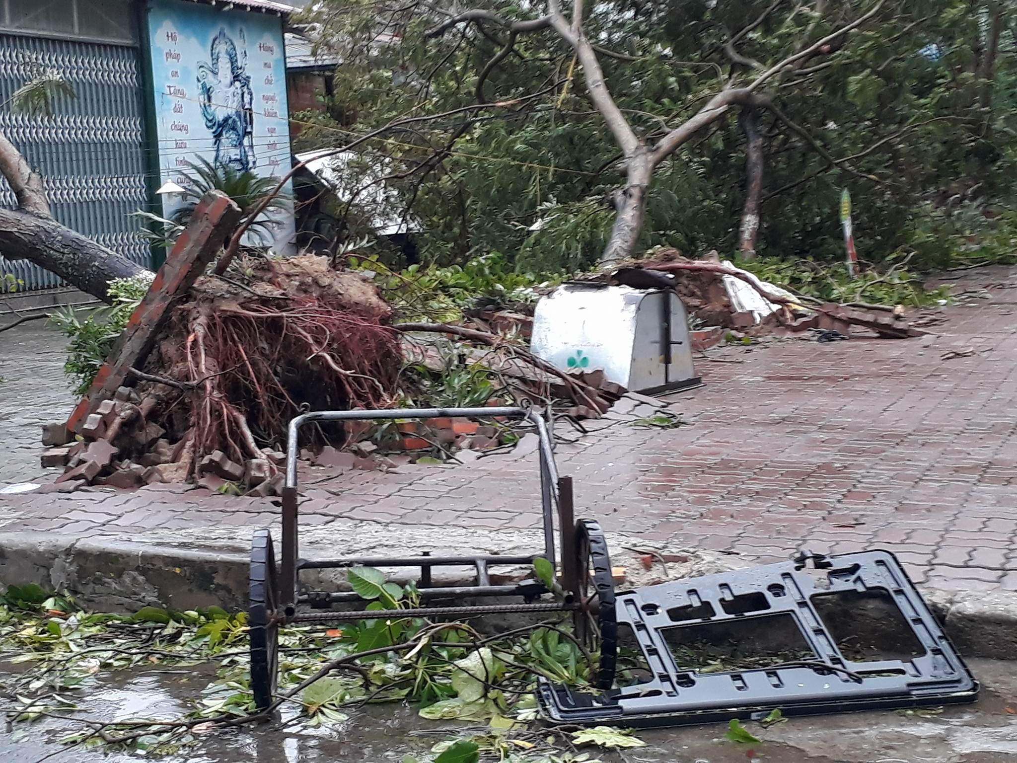 Bão số 2 vào đất liền: Cây đổ, mất điện, nhà tốc mái - Ảnh 17.
