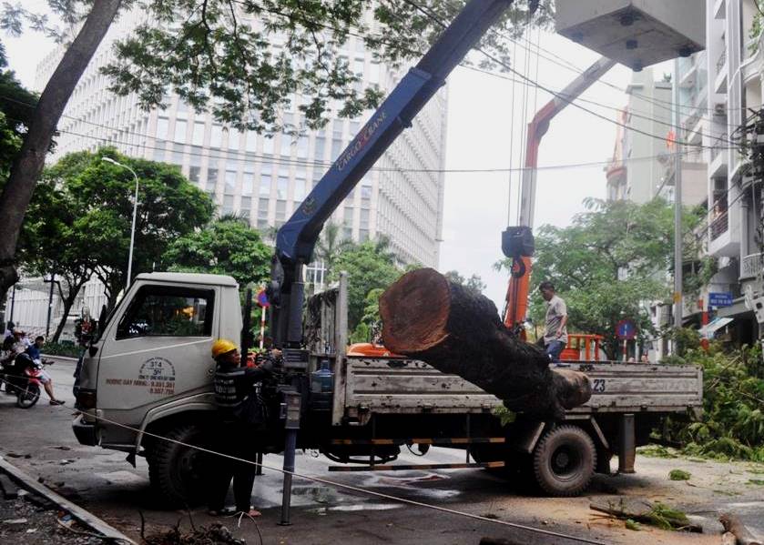 C&acirc;y xanh bật gốc n&iacute;u d&acirc;y điện, g&acirc;y nổ gần đường Nguyễn Huệ - Ảnh 2.