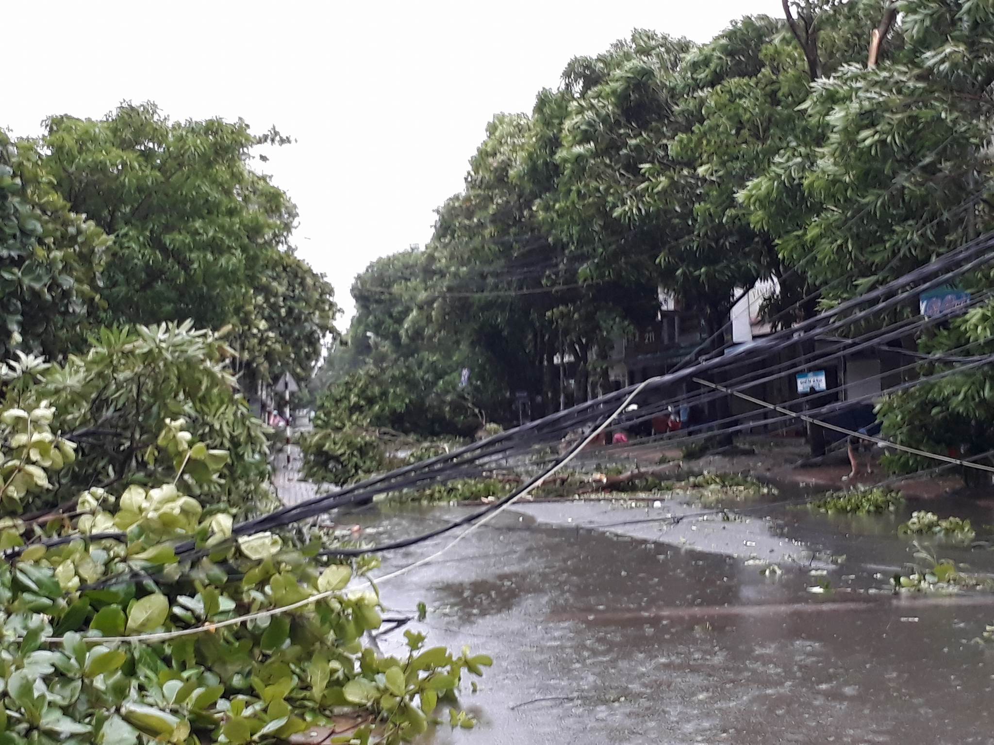 Bão số 2 vào đất liền: Cây đổ, mất điện, nhà tốc mái - Ảnh 18.