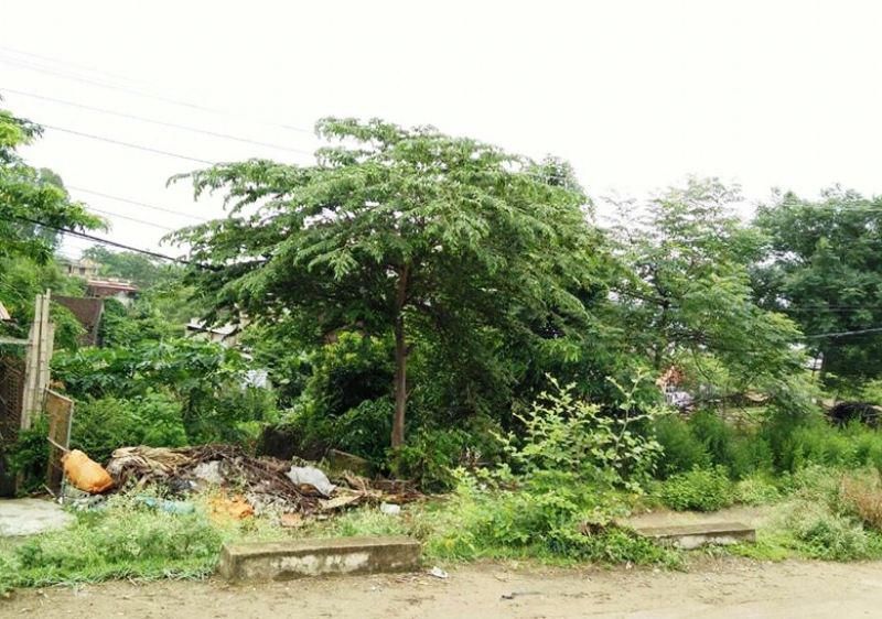 Vụ ch&eacute;m, đ&aacute;nh t&agrave;n nhẫn vợ chồng lớn tuổi: Hậu quả kh&ocirc;ng c&oacute; g&igrave; lớn - Ảnh 4.