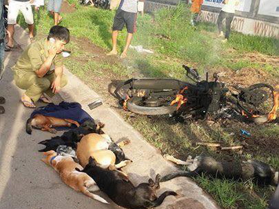Nghi trộm ch&oacute;, 2 thanh ni&ecirc;n bị đ&aacute;nh v&agrave; đốt xe - Ảnh 1.