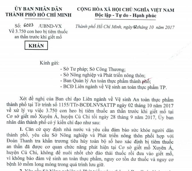 Tiêu hủy heo bị tiêm thuốc an thần, công khai thương lái - Ảnh 1.