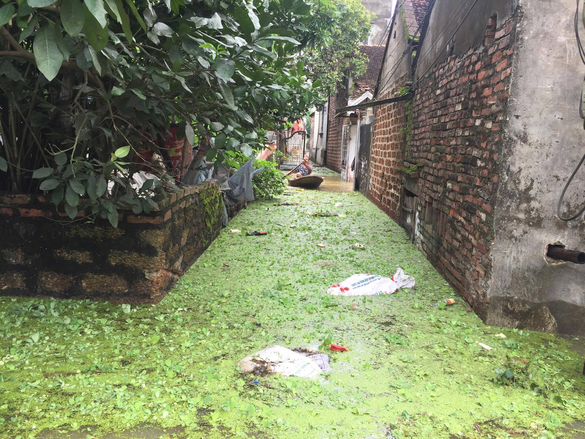 Cận cảnh nước ngập nhà dân ở nơi vỡ đê có kế hoạch - Ảnh 5.