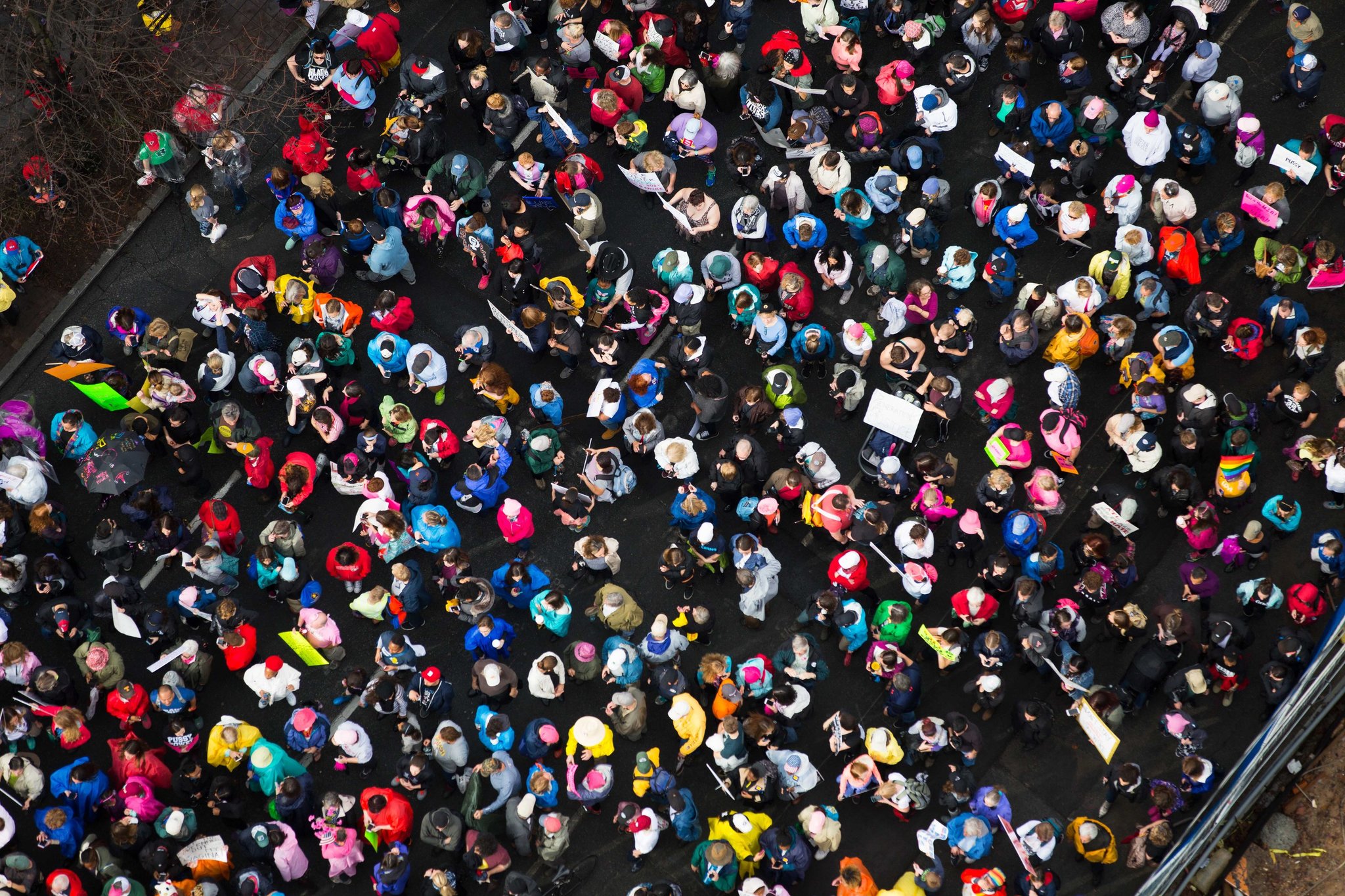 Ảnh: New York Times