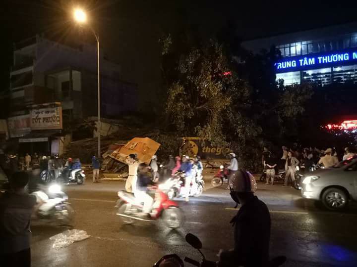 Đa cổ thụ bật gốc từ từ trong khu chợ, cả thị trấn xôn xao