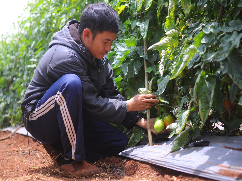 Khi kỹ sư làm thuê cho nông dân
