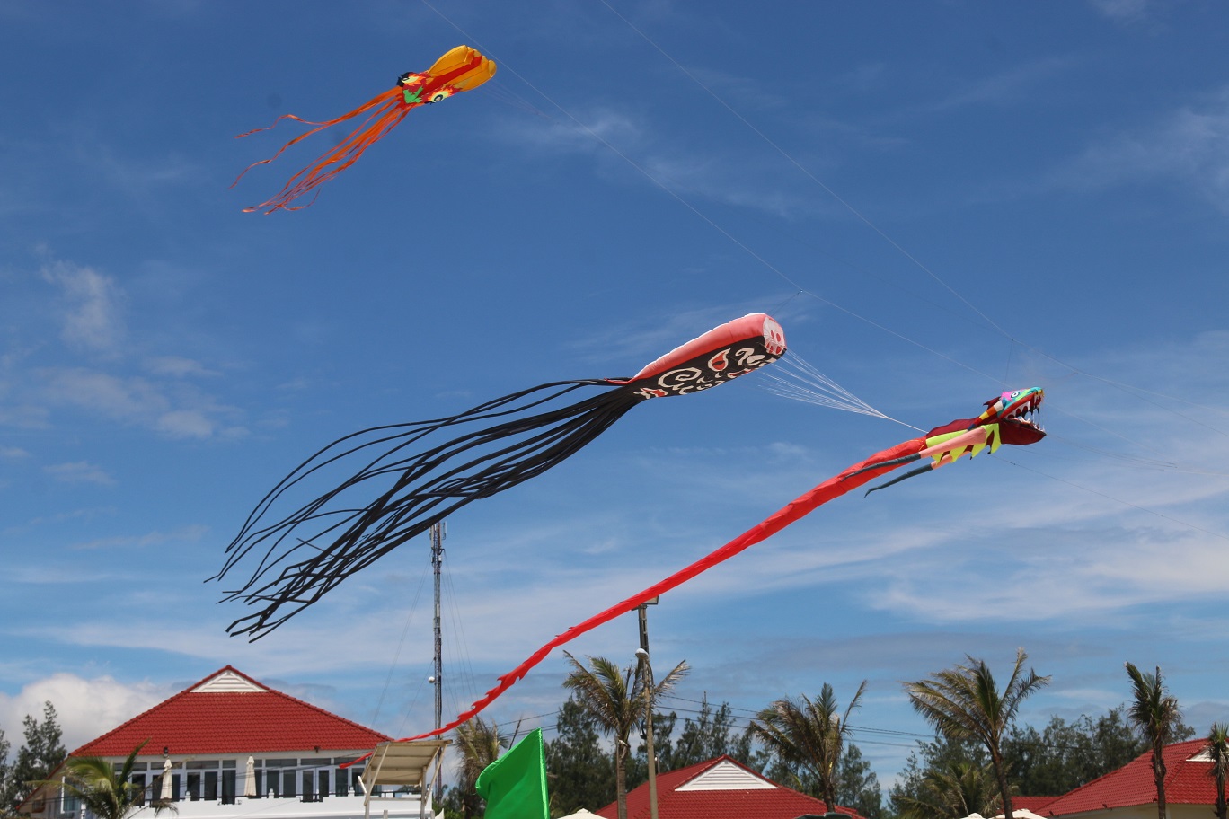 Đắm ch&igrave;m với những m&agrave;n tr&igrave;nh diễn tại Festival Diều quốc tế - Ảnh 19.