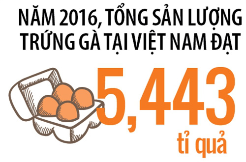 Lấy trứng chọi trứng