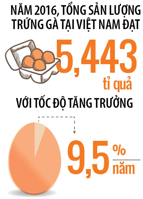 Lấy trứng chọi trứng - Ảnh 1.