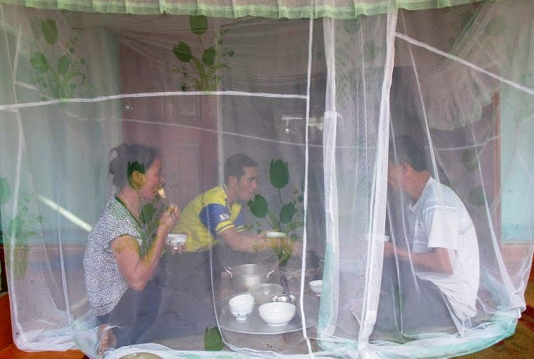 Ruồi nhặng tấn công nên người dân ăn, ngủ đều phải căng màn