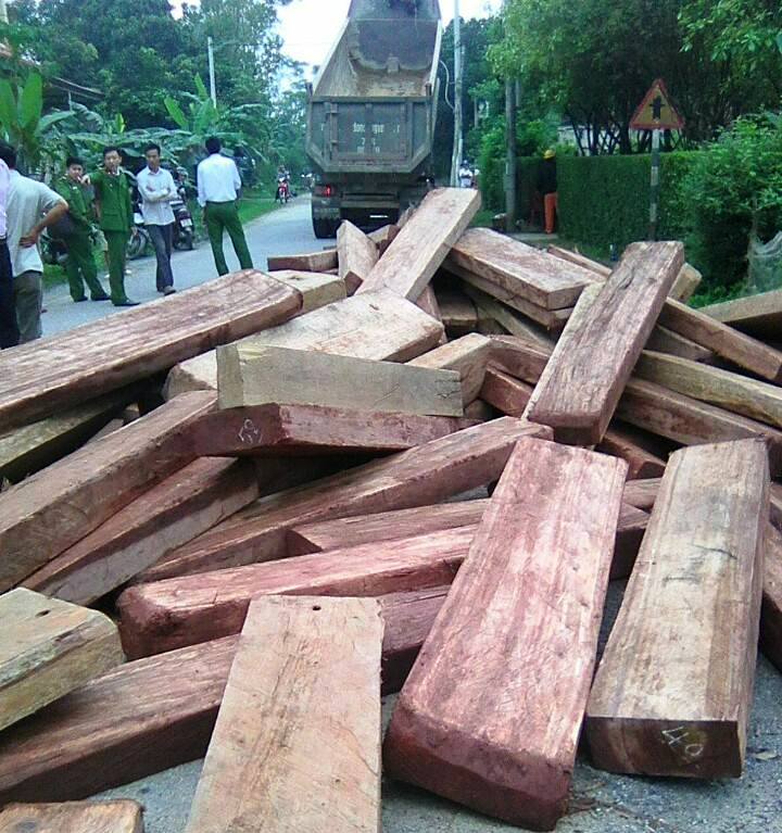 Gần 20 m khối gỗ lậu bị tài xế đổ ập xuống đường gây cản trở giao thông nghiêm trọng vào sáng 20-3