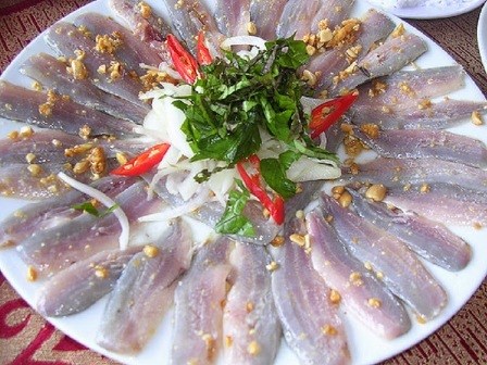 Sự thật về loài cá nghéo, mệnh danh “thủy quái” biển Đông - Ảnh 3.