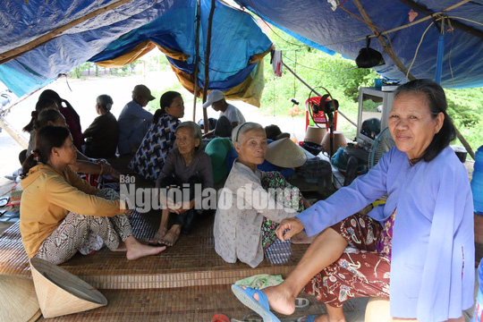 Nhiều cụ già dựng lều phản ứng nhà máy thép suốt 3 tháng trời
