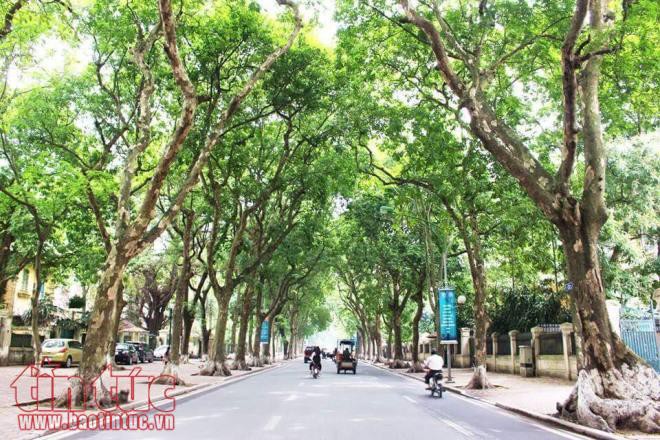 Những khoảnh khắc H&agrave; Nội đẹp tĩnh lặng - Ảnh 3.