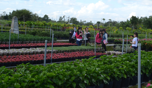 Liên kết phát triển vùng Đồng Tháp Mười