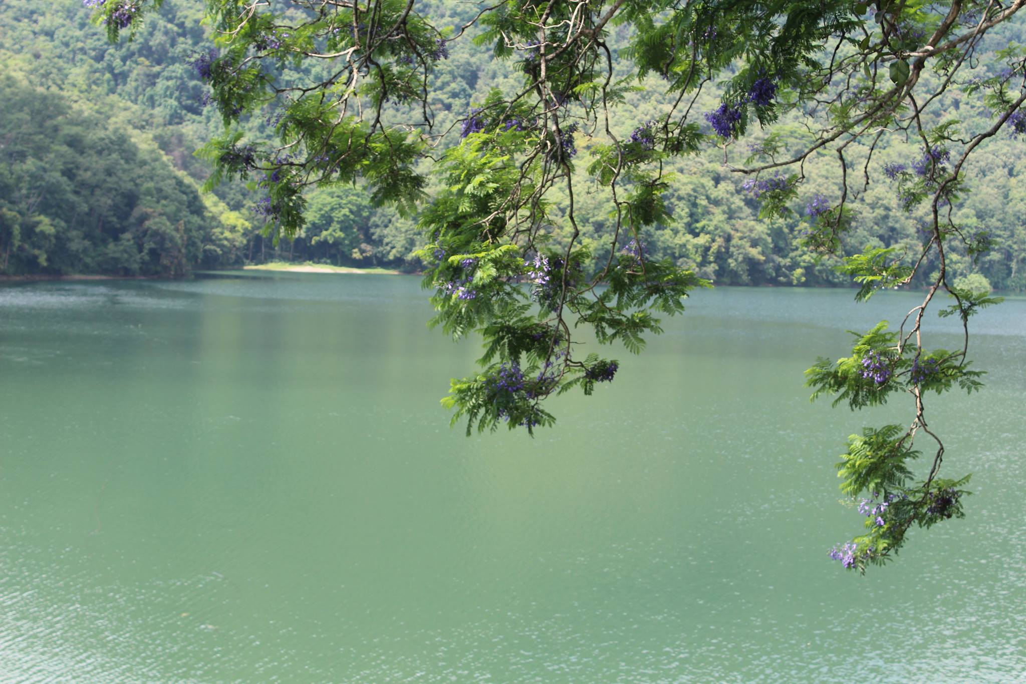 Cuốc bộ và quá giang ở Nepal - Ảnh 39.