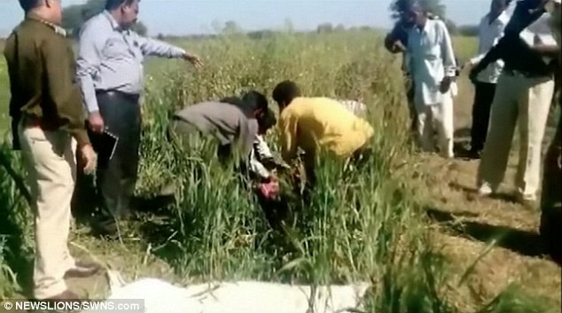 
Cảnh s&aacute;t kiểm tra hiện trường v&agrave; thu dọn thi thể của người vợ.
