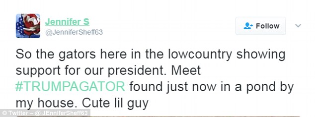 Nhiều người gọi con cá sấu màu cam là Trumpagator (Cá sấu Trump). Ảnh: Twitter