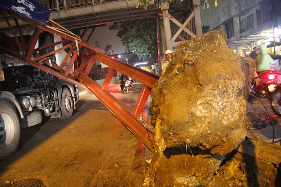 Chân thanh hạn chế chiều cao bị nhổ rễ