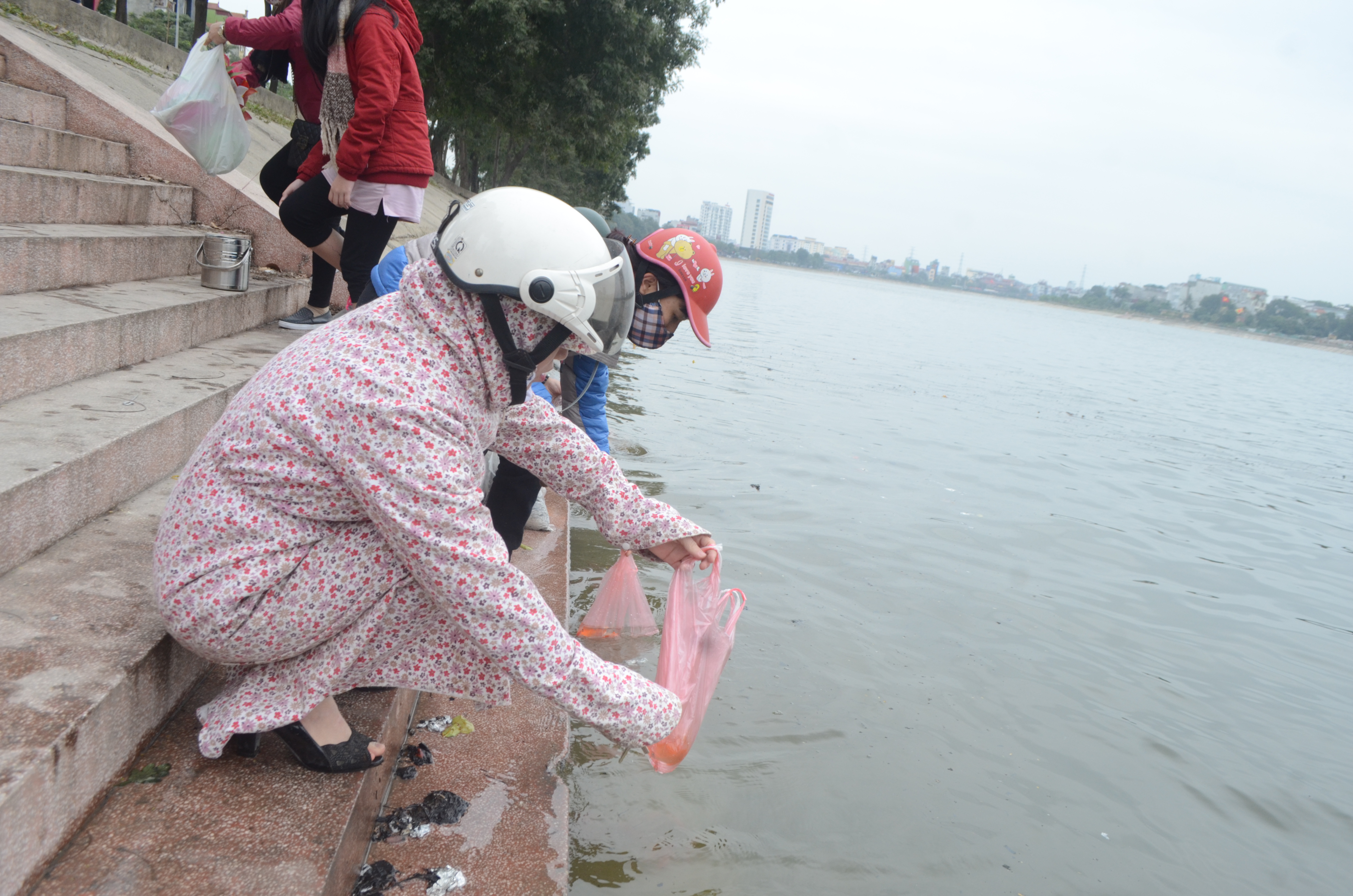 Tại hồ Linh Đàm, nhiều người đi thả cá chép tiễn Táo quân về chầu Thiên đình