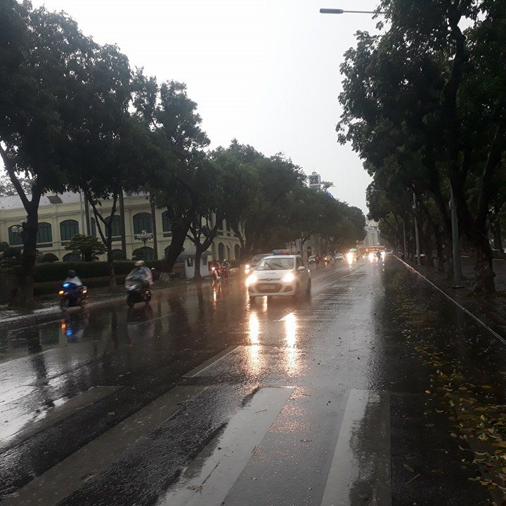 Sau đợt nắng n&oacute;ng kỷ lục, H&agrave; Nội mưa gi&oacute; gi&ocirc;ng lốc đổ c&acirc;y - Ảnh 2.