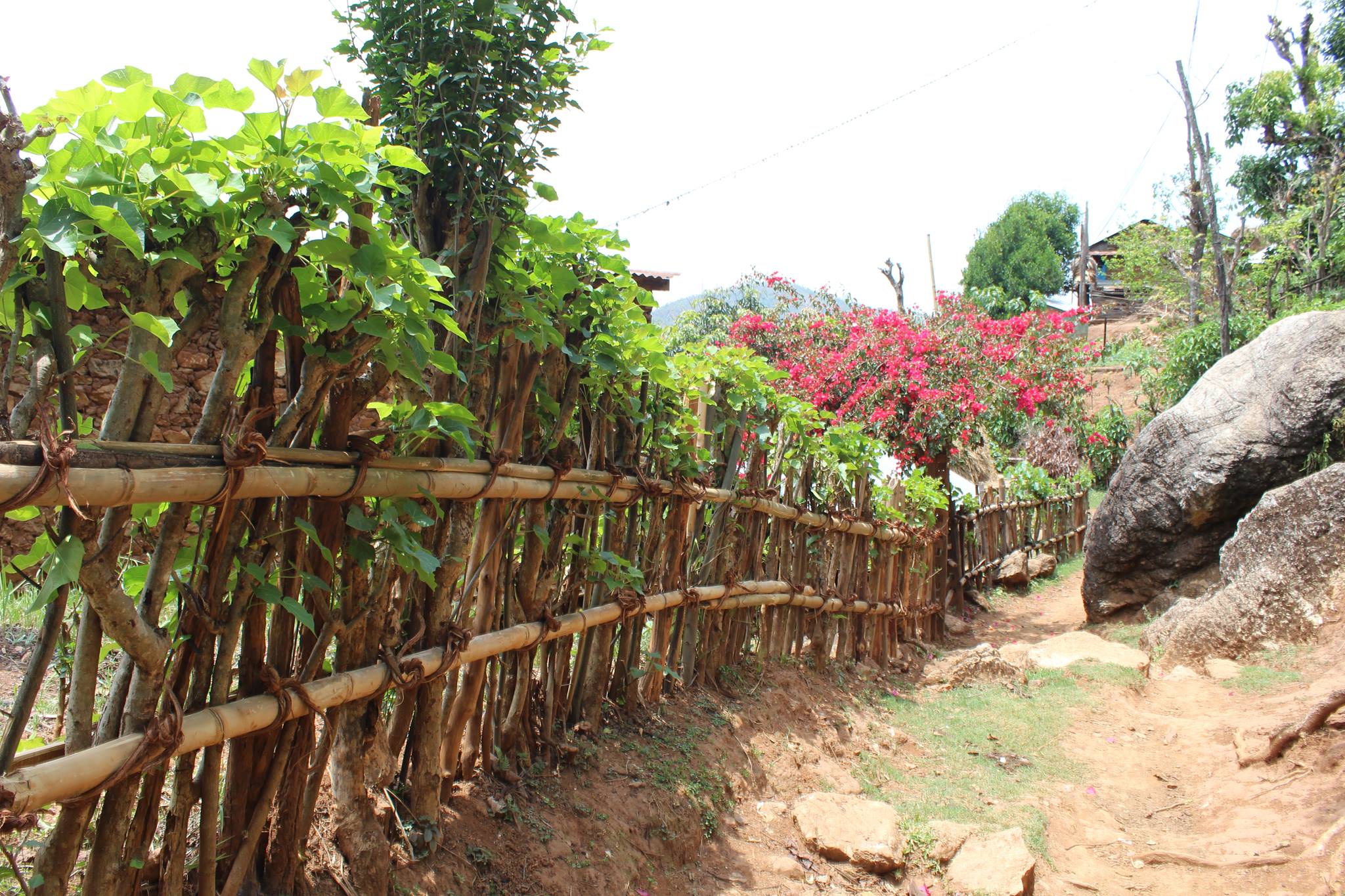 Cuốc bộ và quá giang ở Nepal - Ảnh 4.