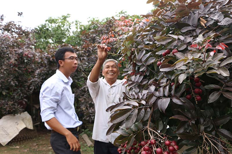 Nh&atilde;n t&iacute;m độc nhất v&ocirc; nhị miền T&acirc;y: Nh&igrave;n l&agrave; m&ecirc;, sờ l&agrave; th&iacute;ch - Ảnh 4.