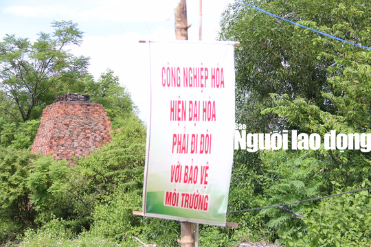 Nhiều cụ già dựng lều phản ứng nhà máy thép suốt 3 tháng trời - Ảnh 5.