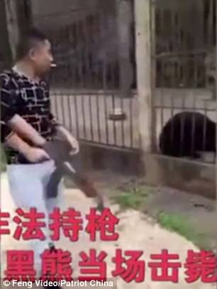 Du kh&aacute;ch Trung Quốc giết gấu bằng s&uacute;ng m&aacute;y - Ảnh 3.