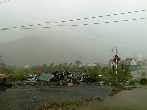 Tan hoang trong bão