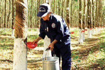 "Thay máu" DNNN phải làm từ gốc