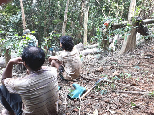Một nh&oacute;m &ldquo;l&acirc;m tặc&rdquo; đang nghỉ ngơi để tiếp tục cưa gỗ