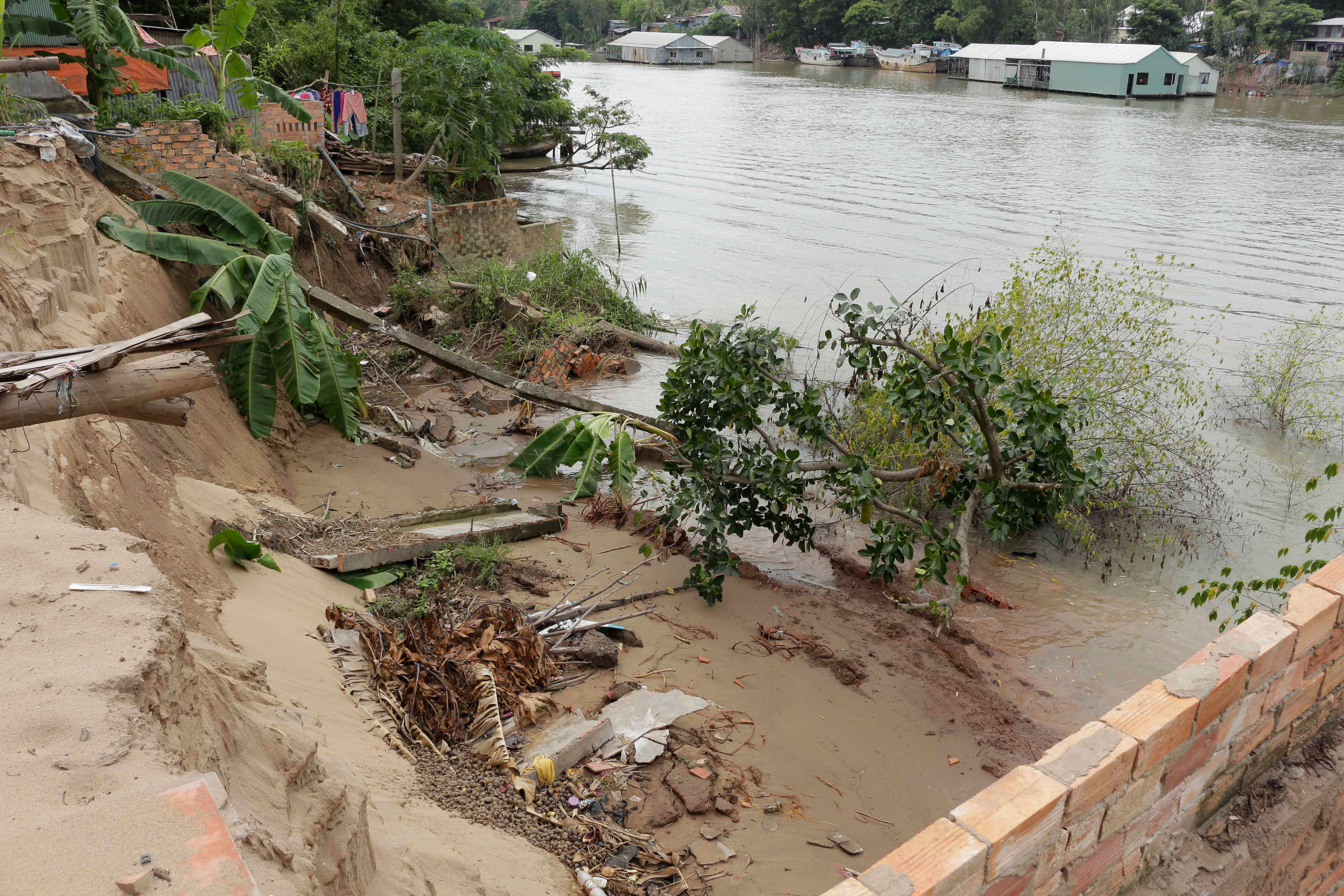 ĐBSCL: Sóng đánh vỡ kè, "bay" rừng phòng hộ