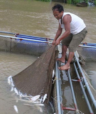 Lại lo xả lũ thủy điện Hòa Bình