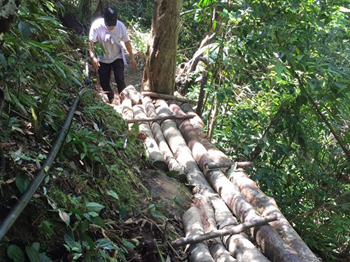 Tàn phá rừng đầu nguồn Khe Đương