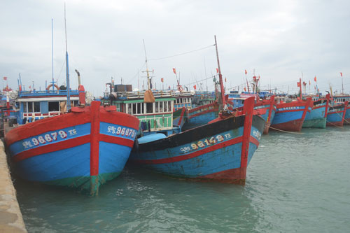 Cho tàu nằm bờ vì cá rớt giá