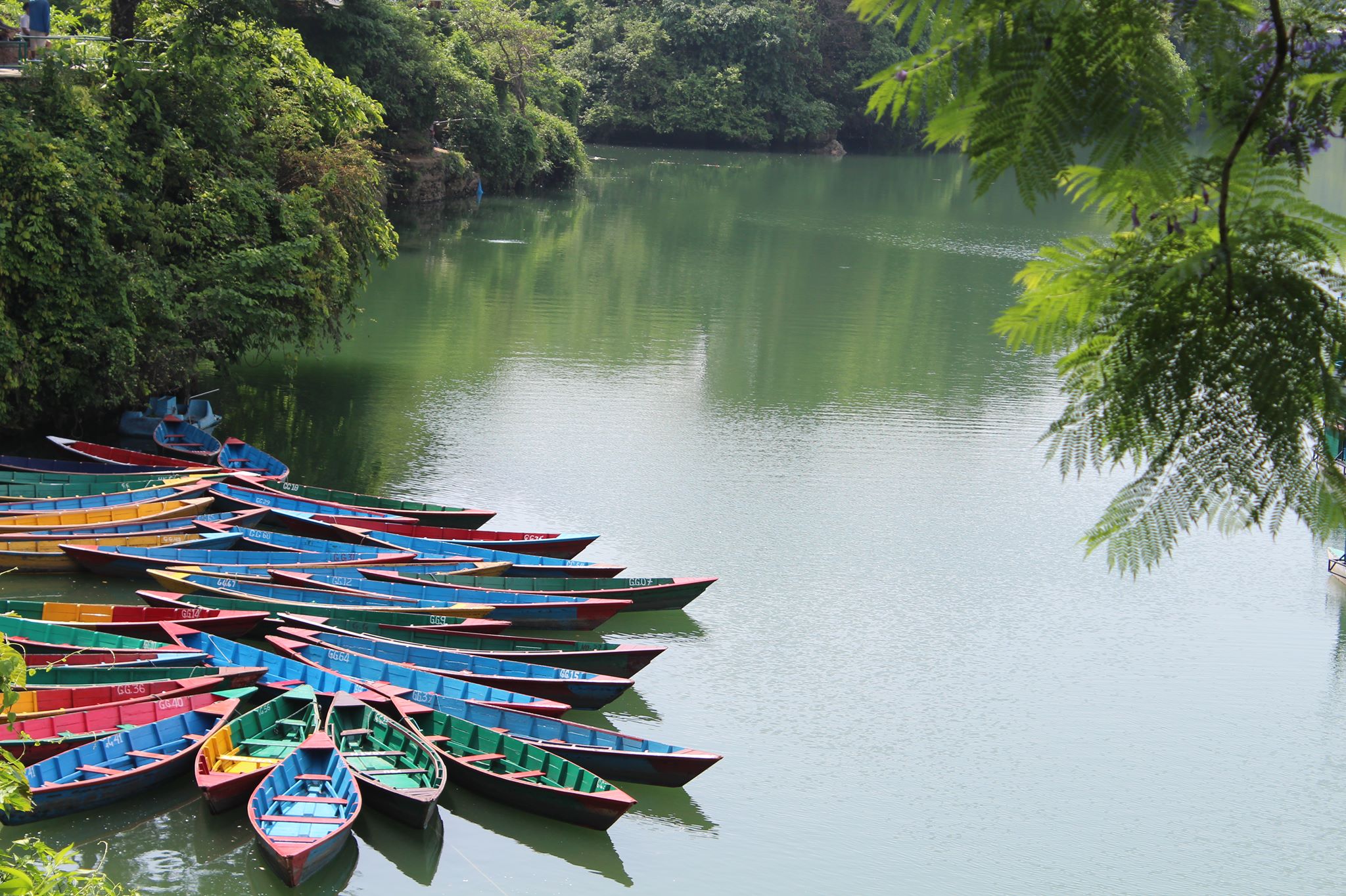 Cuốc bộ và quá giang ở Nepal - Ảnh 38.