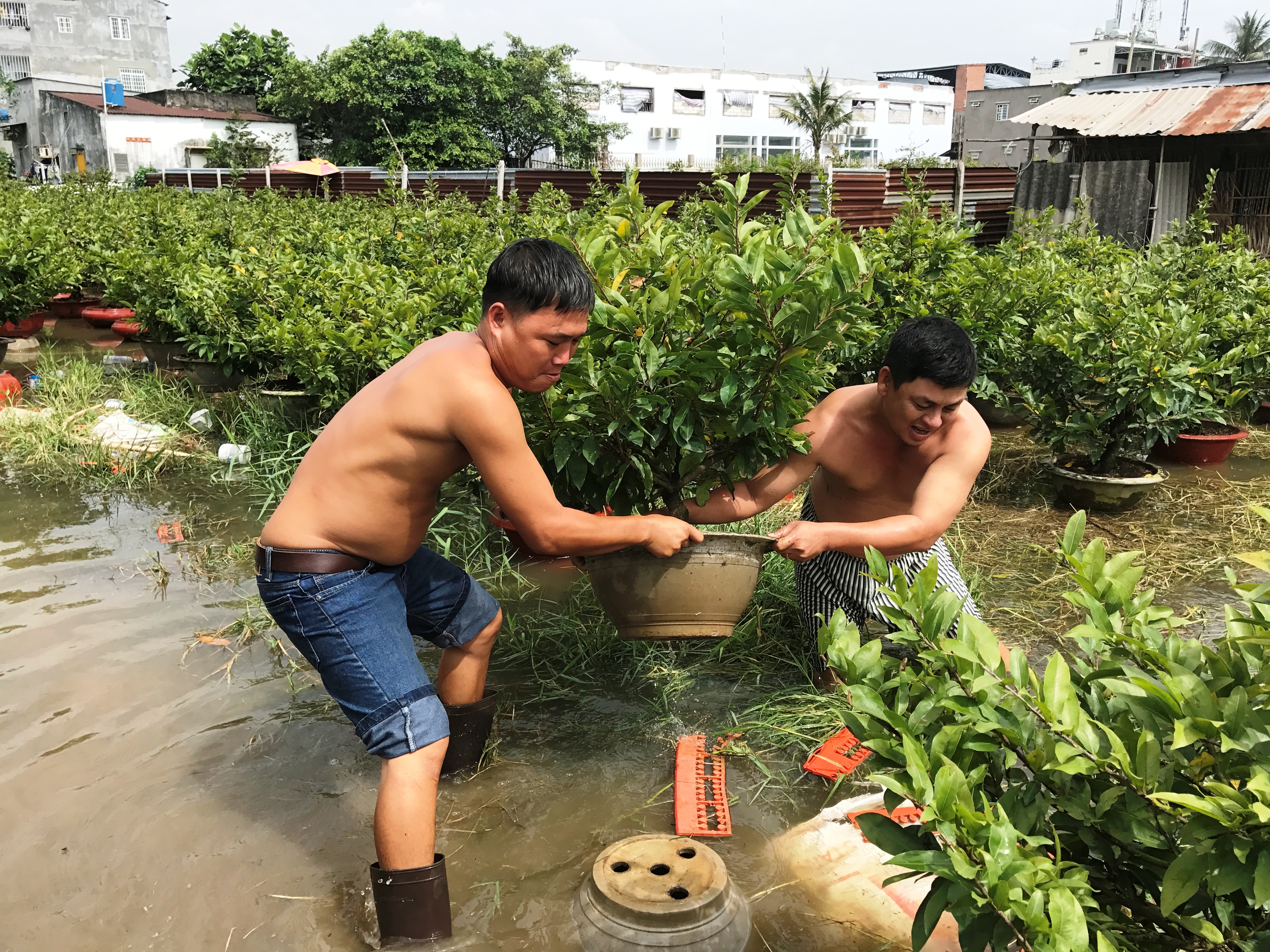 Phát sốt vì rạng sáng nước ngập lênh láng vào nhà